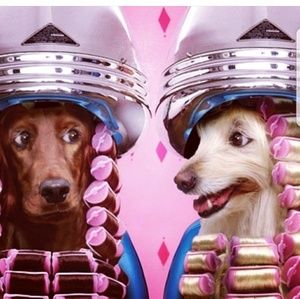 Meet your Posher, Trista